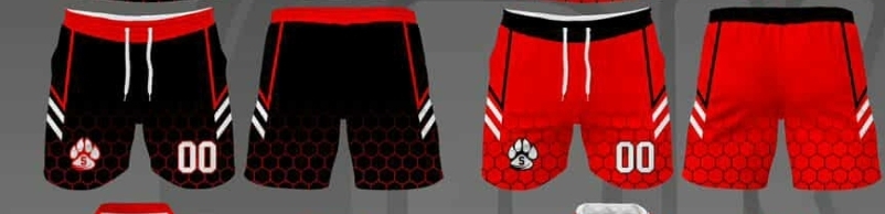 BEARCATS GAME SHORTS