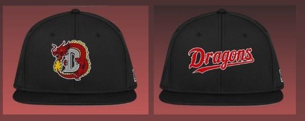 DRAGONS FITTED HATS