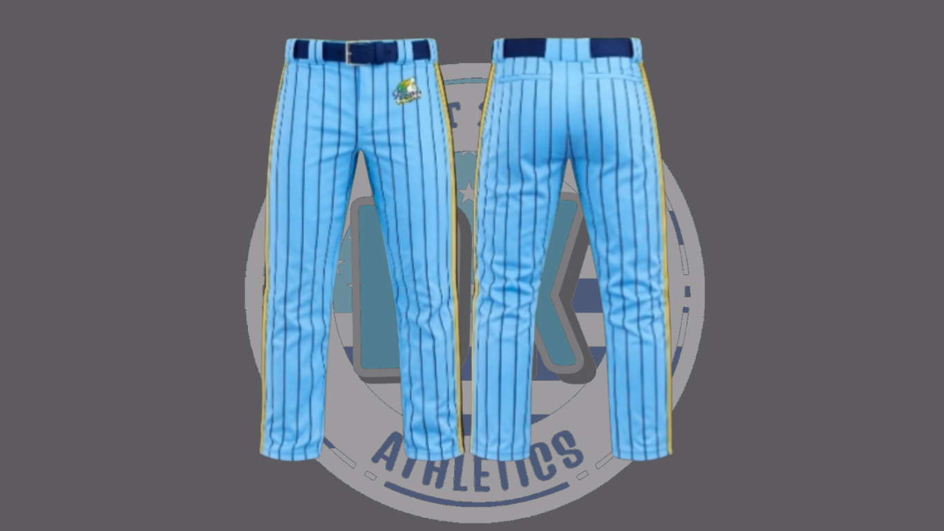 REGULAR/SKINNY BABY BLUE PINSTRIPE PANTS