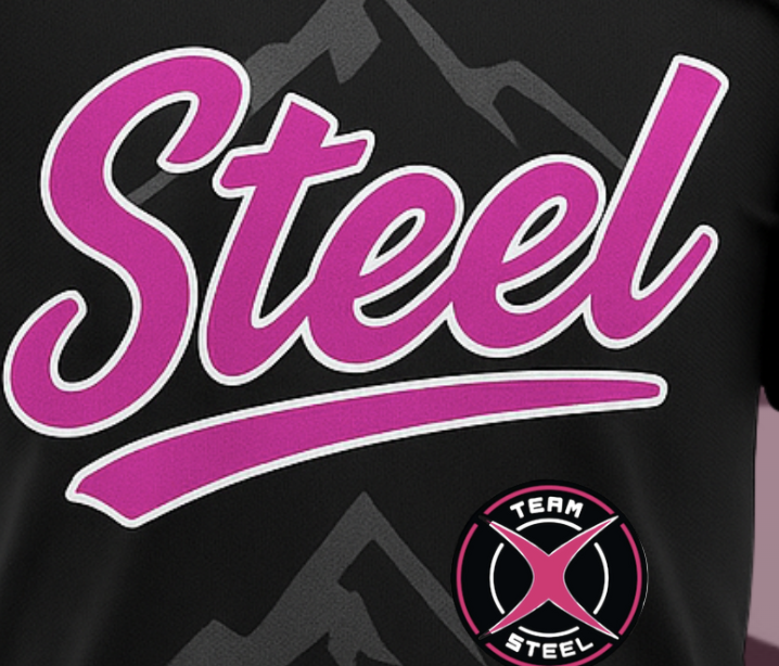 Team STEEL Logo