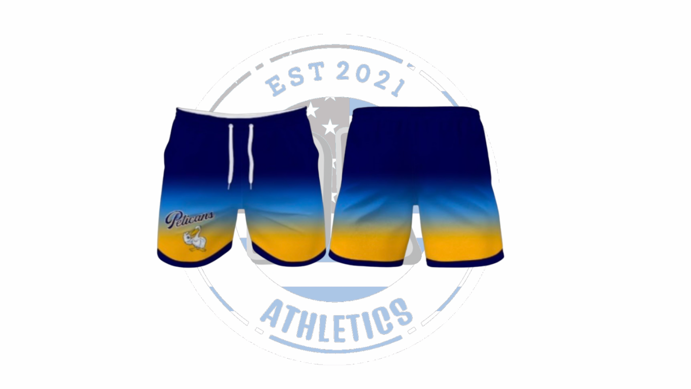 OMBRE MICRO STRETCH SHORTS