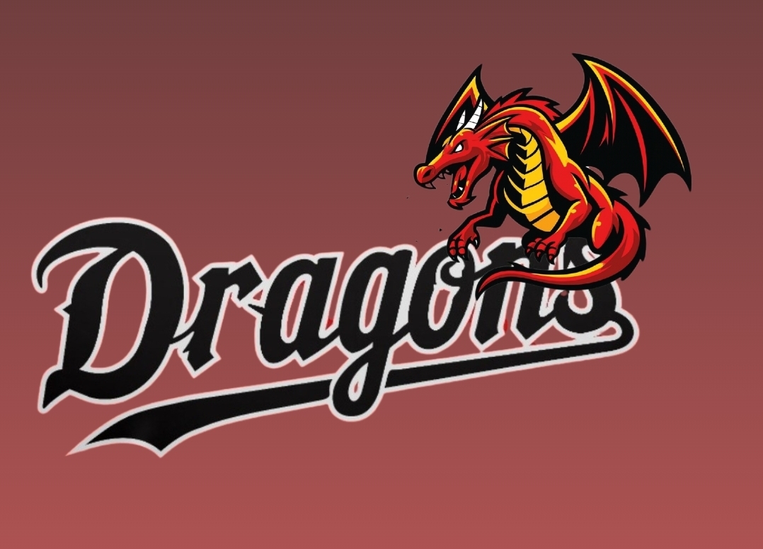 WM Dragons Logo