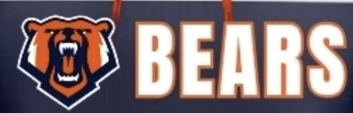 The Bears Baseball Logo